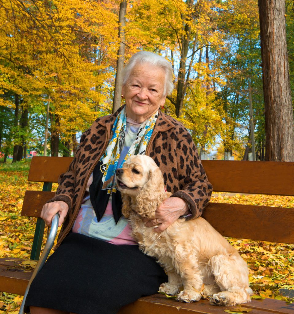 Lifestyle_Stock_Woman_Dog_Park_Fall_57392115