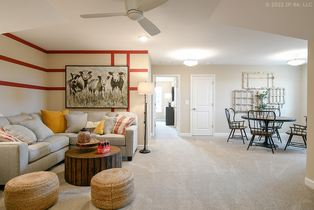 bonus suite option